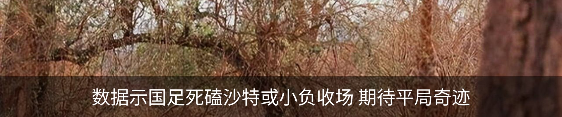 内页banner